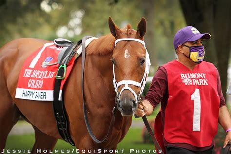 happy saver horse.